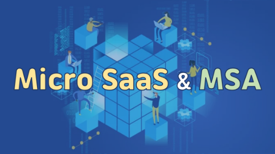 Micro SaaS vs MSA!
